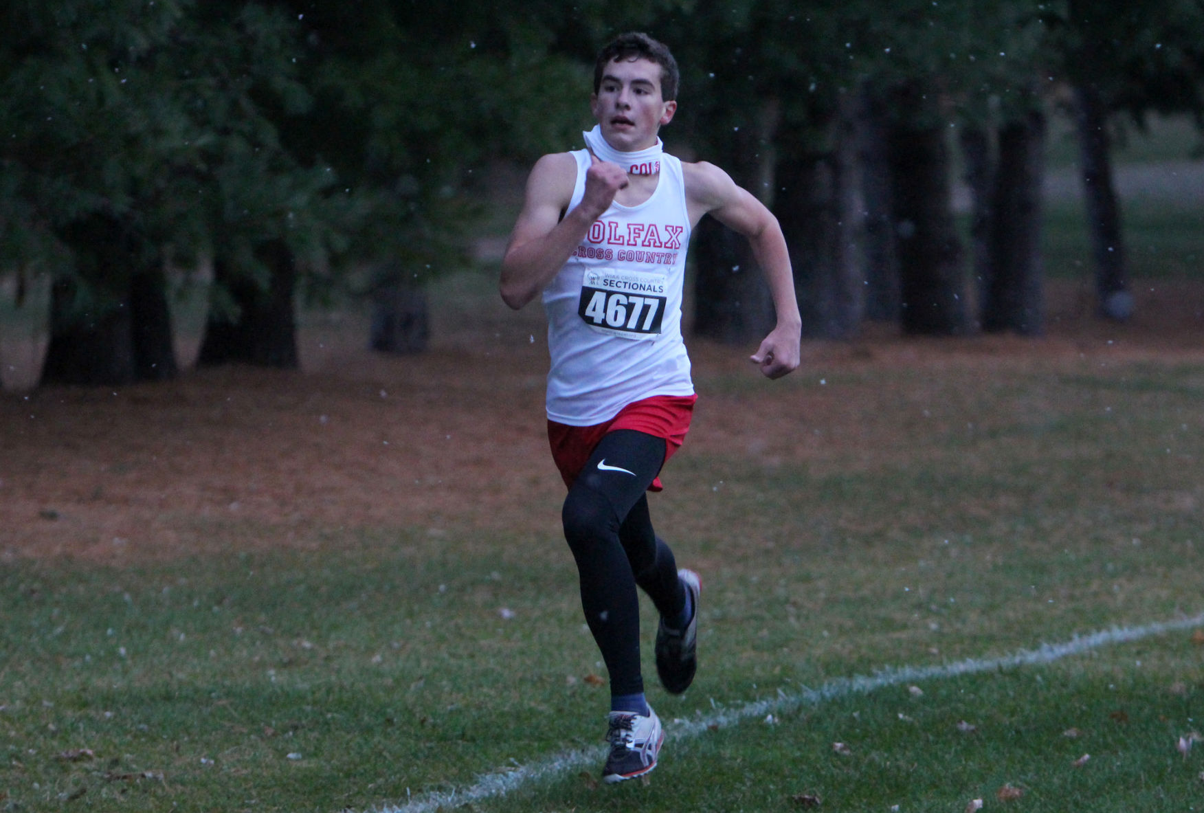 Division 3 Cross Country Sub-Sectional at Colfax 10-19-20